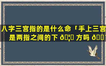 八字三宫指的是什么命「手上三宫是两指之间的下 🦋 方吗 🌴 」